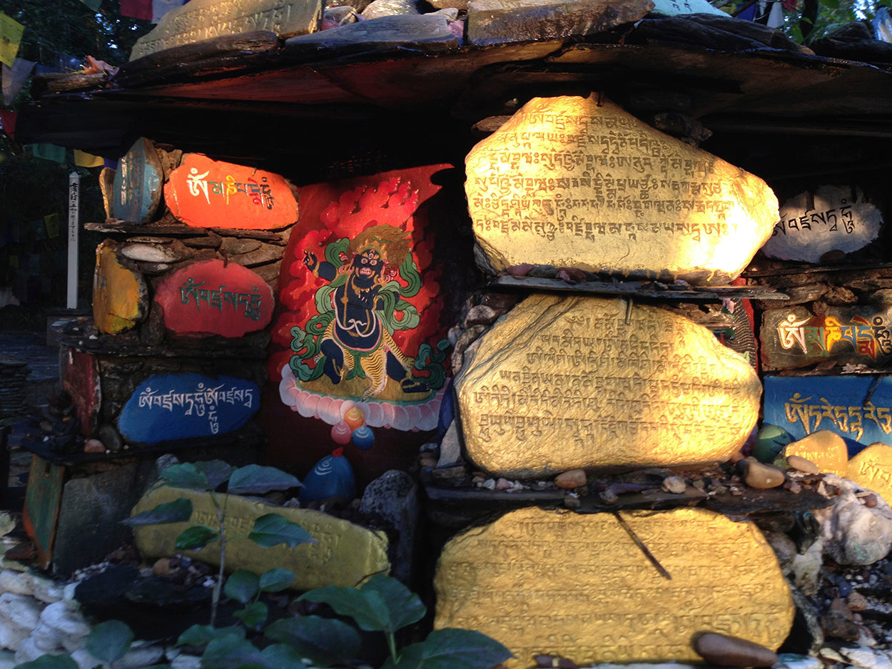 Norbulingka's New Year Message