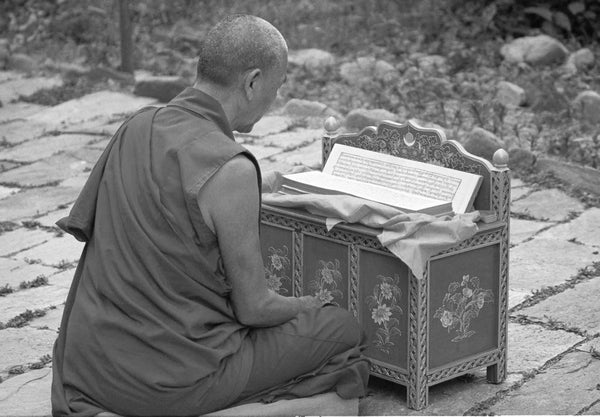 Dharma Accessories