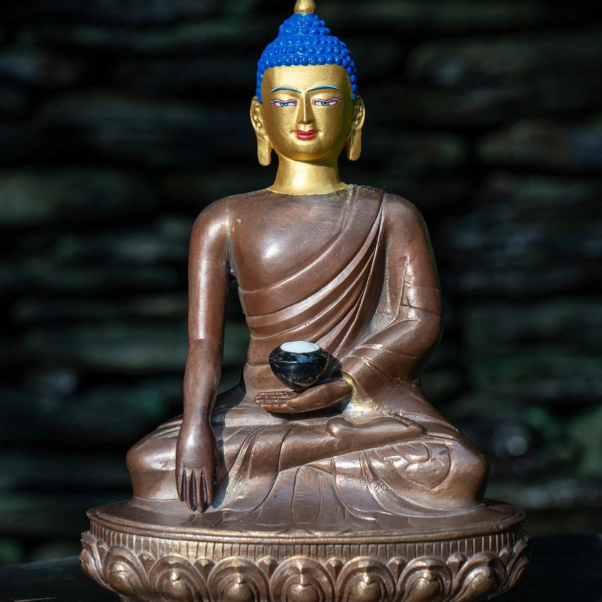 SCBSFHG008-1.webp?crop=center&